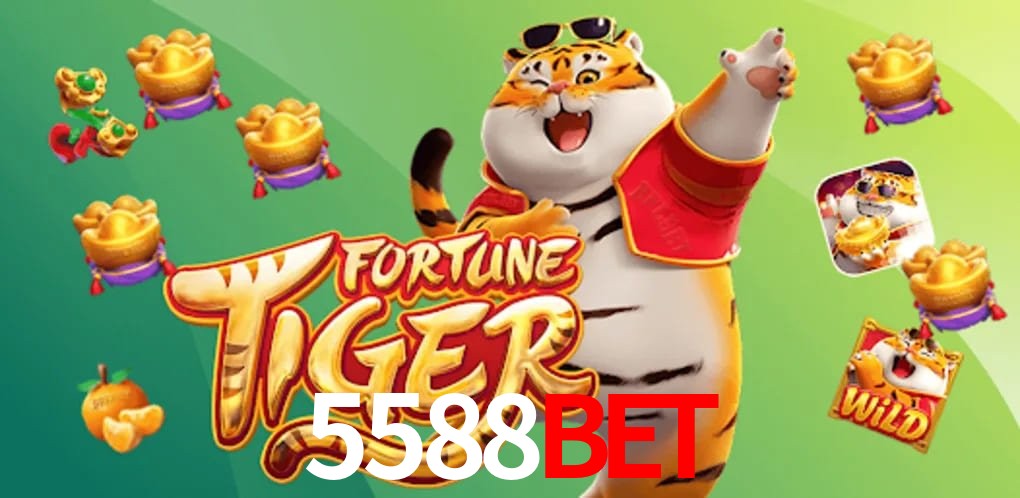 Player Reviews 5588bet